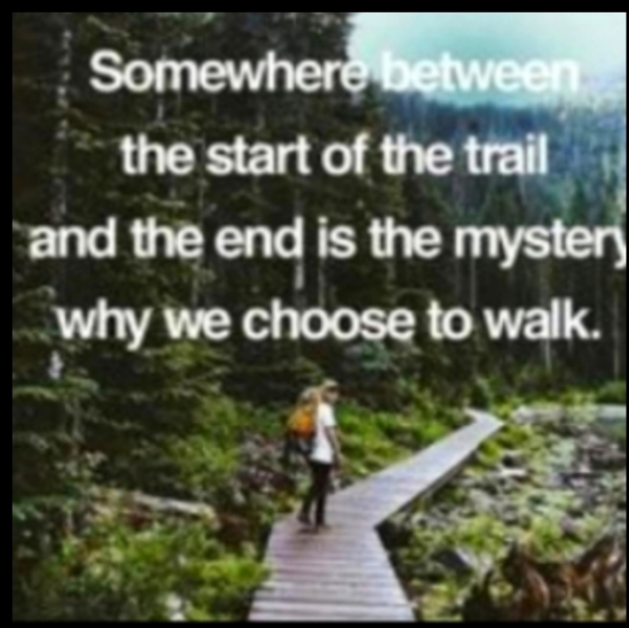 PEACH Button Up  Sz Med 80's - Picture 12 of 14